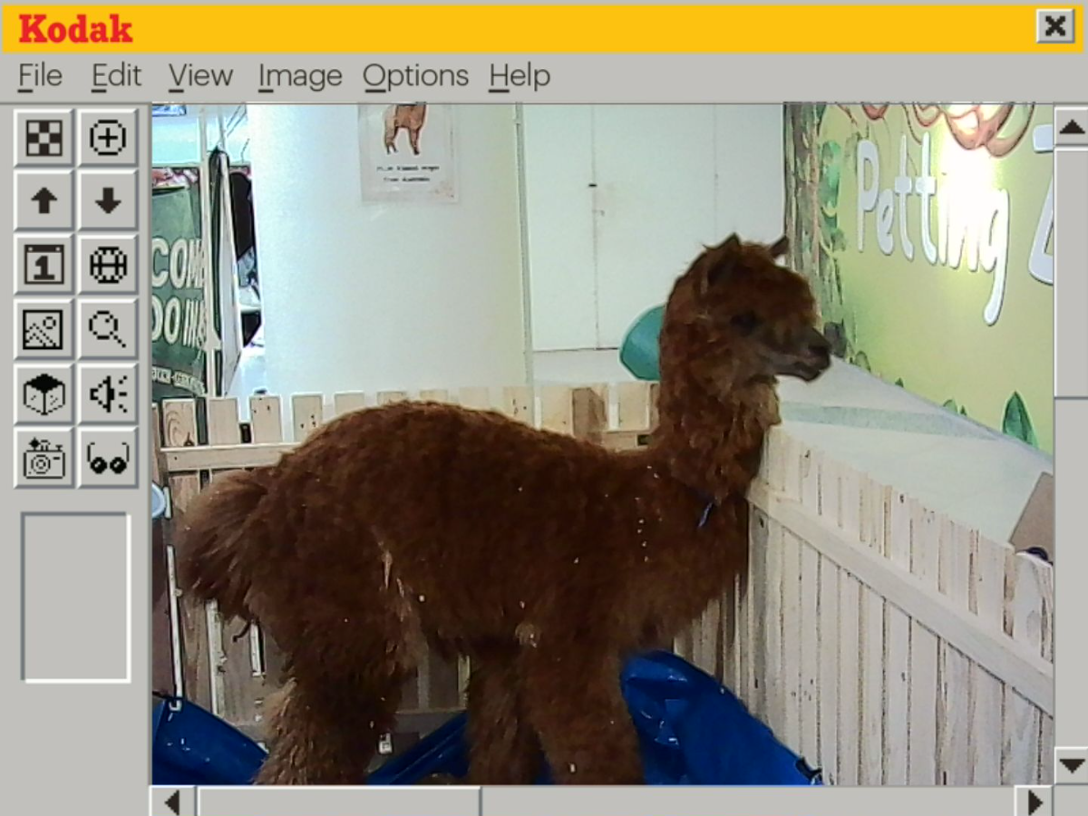 Kodak charmera review: charm over function This image uses one of the charmera’s seven built-in filters, which applies a retro-looking frame.