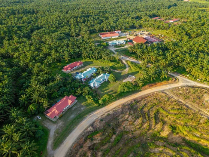 WTK shareholders greenlight RM555m plantation expansion