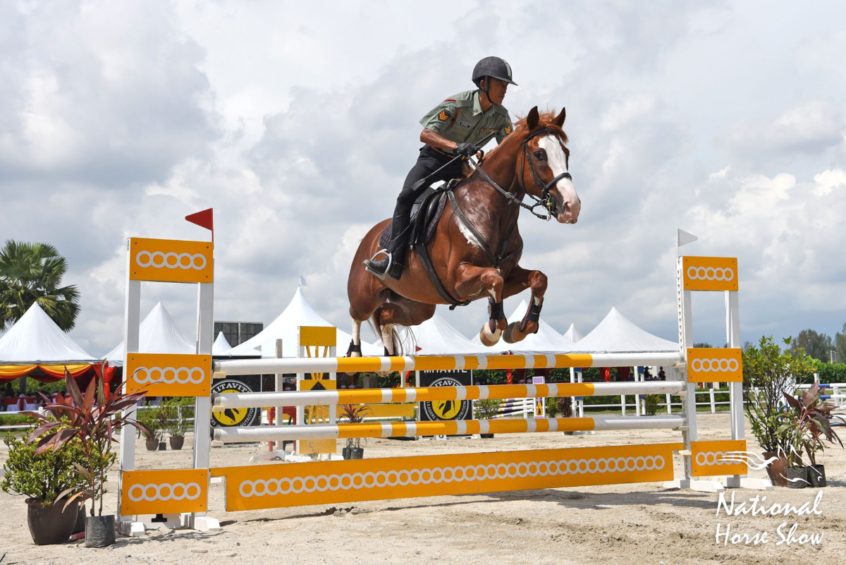 Founded more than a century ago, the selangor turf club remains a key centre for equestrian sport and training. – pic from stc website