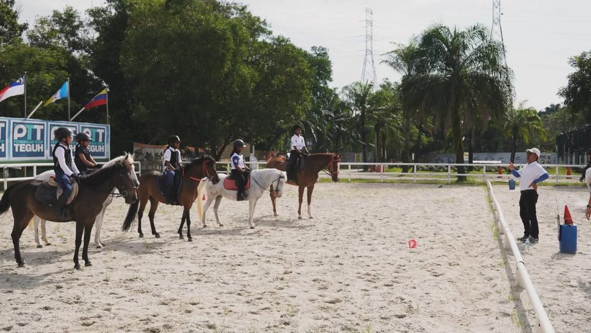 Families and beginners visit denai alam riding club, where joy rides and pony activities are available. – pic from website