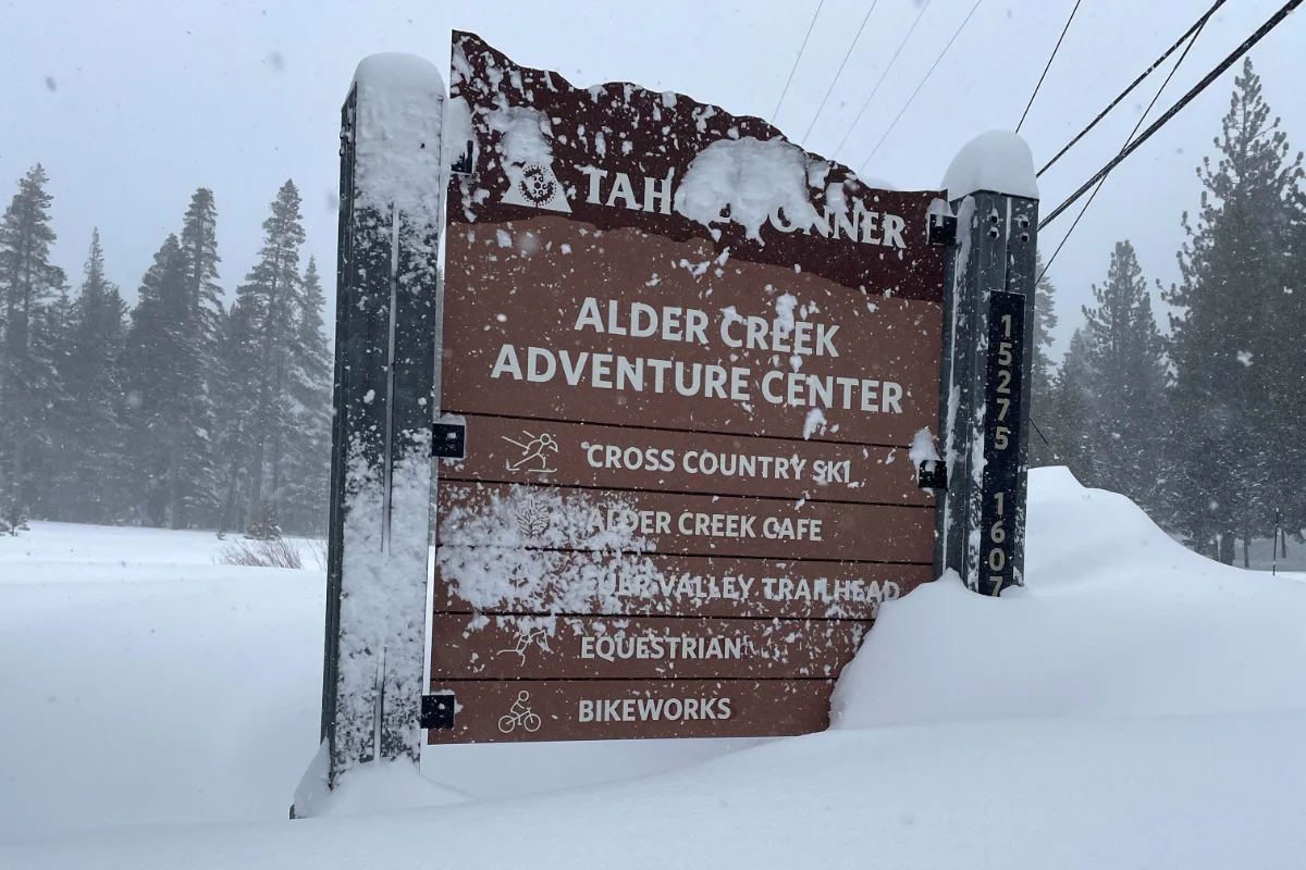 Eight skiers found dead in California avalanche, one still missing