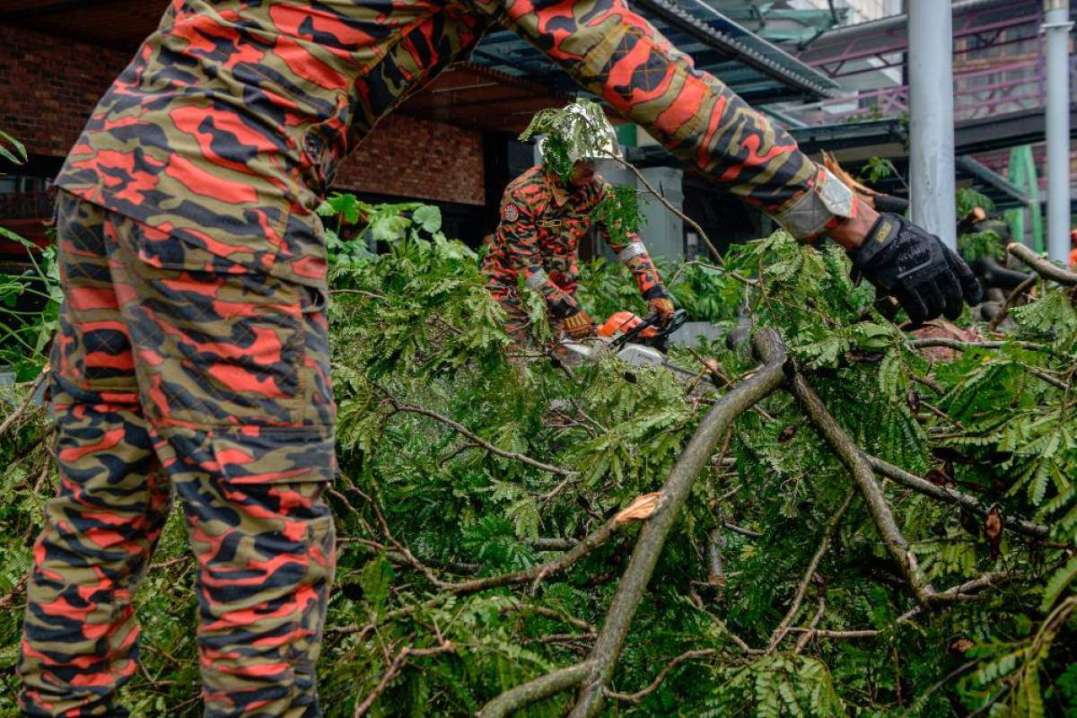 23 kes pokok tumbang di Kelantan sejak Khamis