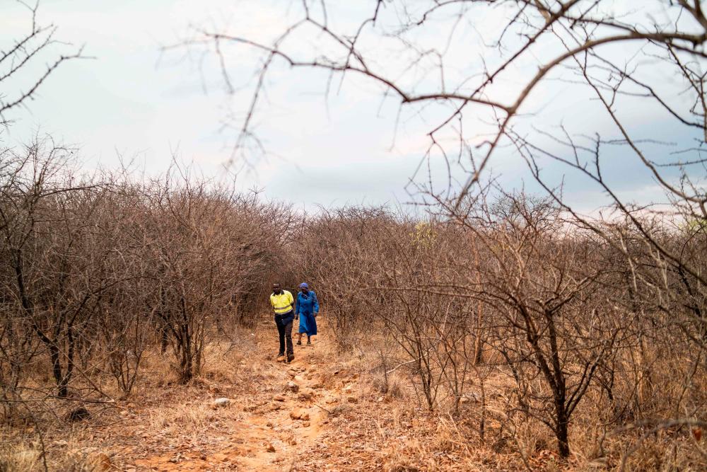 6 dead, 15 trapped after mine collapses in Zimbabwe
