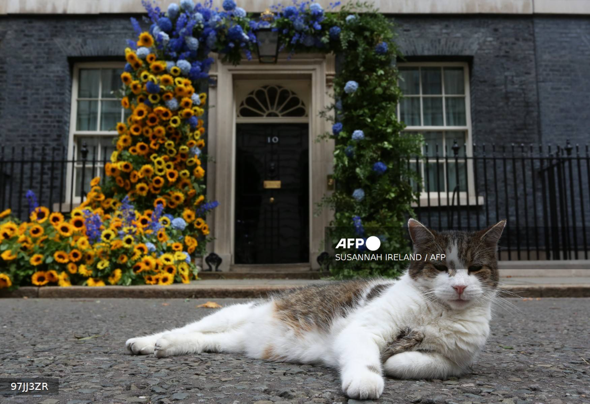 AFP__20260215__97JJ3ZR__v1__Mockup__FilesBritainPoliticsAnimal