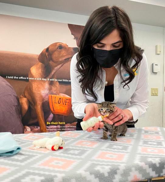 Addressing need for veterinarians
