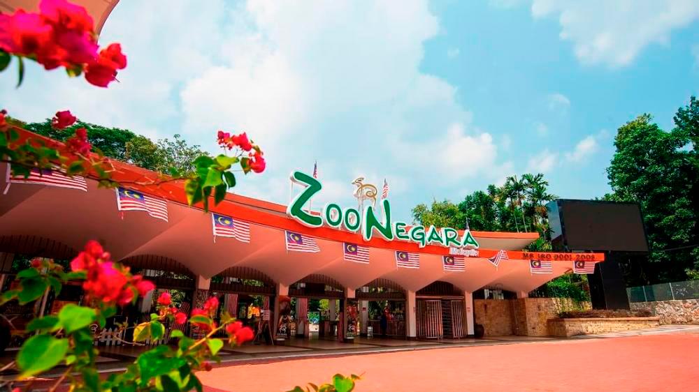AmBank announces wildlife preservation initiatives with Zoo Negara, Zoo Melaka AmBank announces wildlife preservation initiatives with Zoo Negara, Zoo Melaka