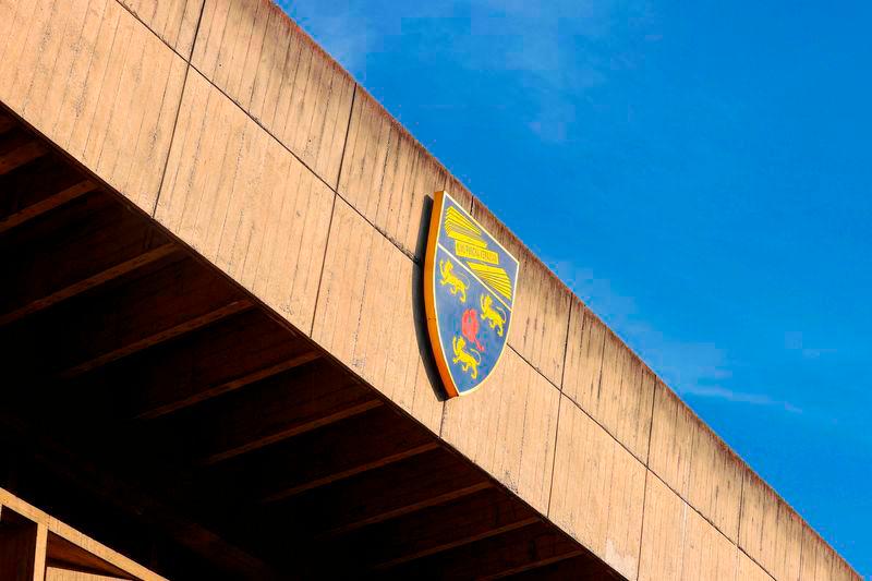 Another cat found “extensively mutilated” in UM campus Another cat found “extensively mutilated” in UM campus