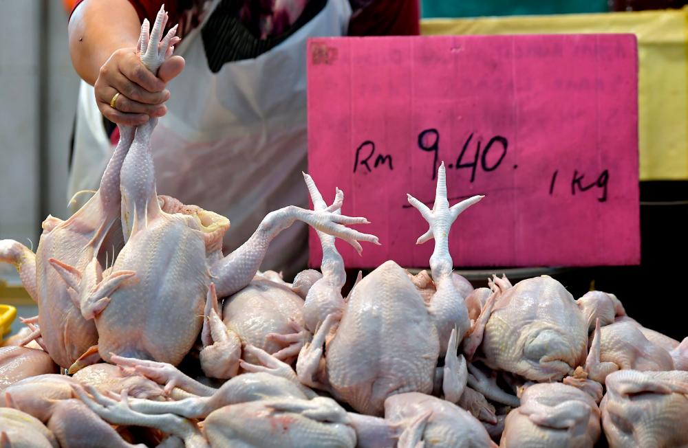 Armizan: No reports of chicken price hike after lifting subsidy