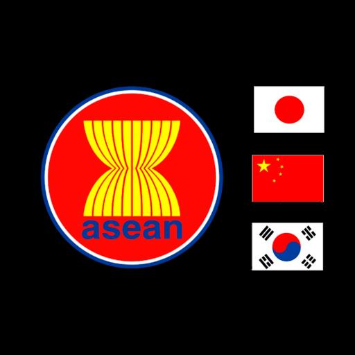Asean+3 nations discuss currency swap policy, financial cooperation Asean+3 nations discuss currency swap policy, financial cooperation
