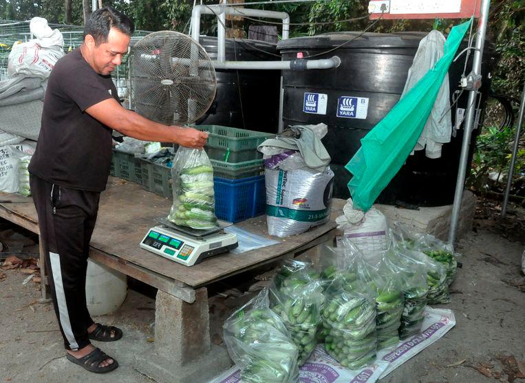 BUDI MADANI cash aid to be distributed to over 30,000 on June 10 BUDI MADANI cash aid to be distributed to over 30,000 on June 10