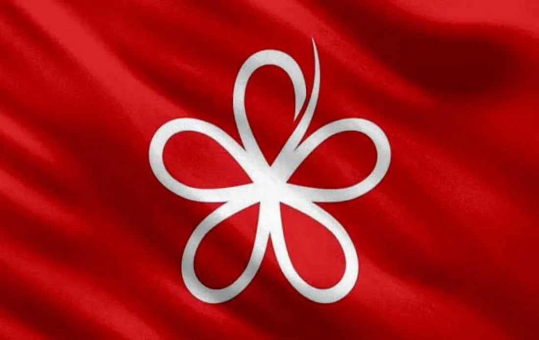 Bersatu_divisions_in_Raub_and_Lipis_dissolved_over_leadership_crisis
