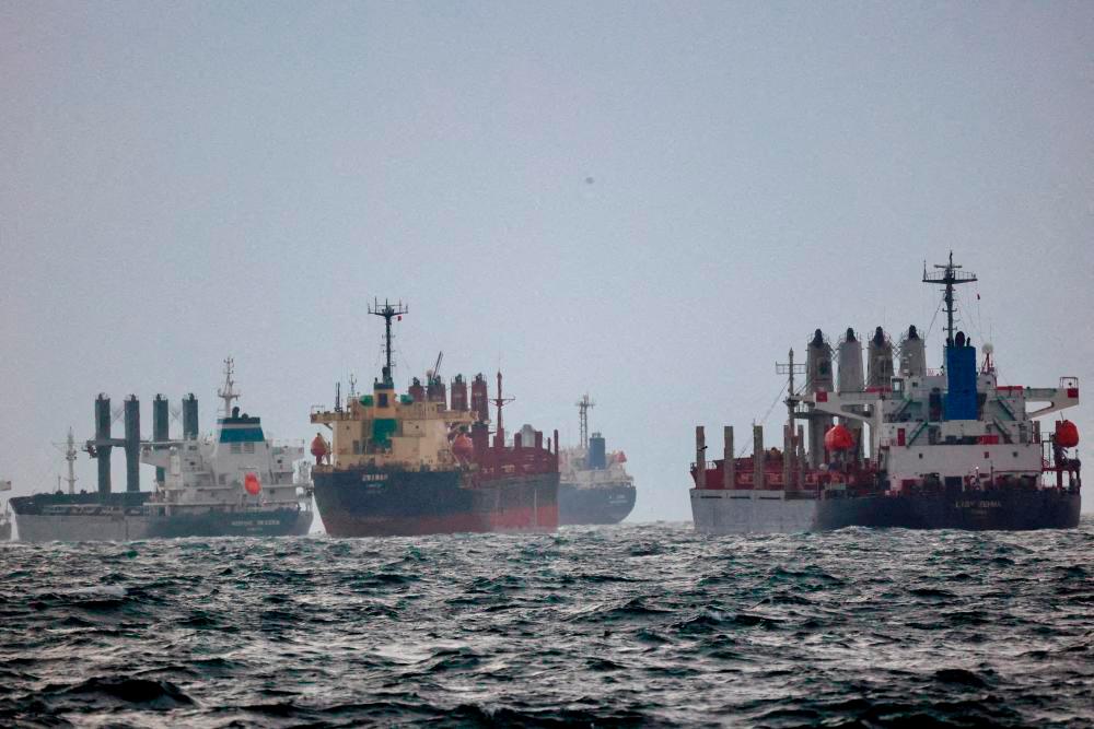 Black Sea Grain Initiative hits a snag