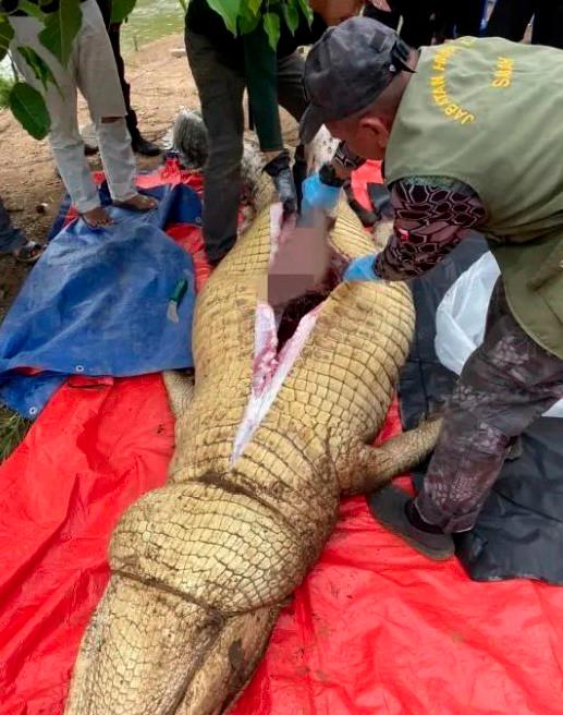 Body of missing fisherman found in crocodile’s stomach Body of missing fisherman found in crocodile’s stomach