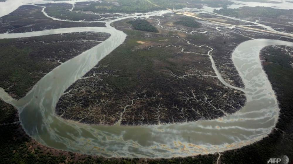 Cleanup of oil-polluted Nigerian state would cost $12b: Report