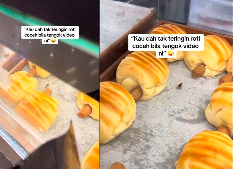 Customer finds tiny cockroach crawling amongst sausage buns at local bakery Customer finds tiny cockroach crawling amongst sausage buns at local bakery