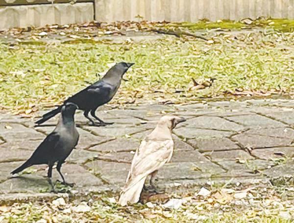 DSA: KDN mahu manfaat teknologi, inovasi untuk kukuhkan kawalan sempadan DSA: KDN mahu manfaat teknologi, inovasi untuk kukuhkan kawalan sempadan
