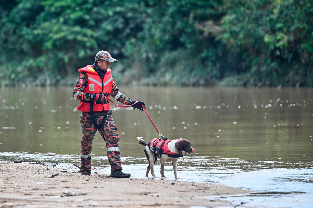 Denti, Frankie join SAR Ops for teenager feared drowned in canal Denti, Frankie join SAR Ops for teenager feared drowned in canal