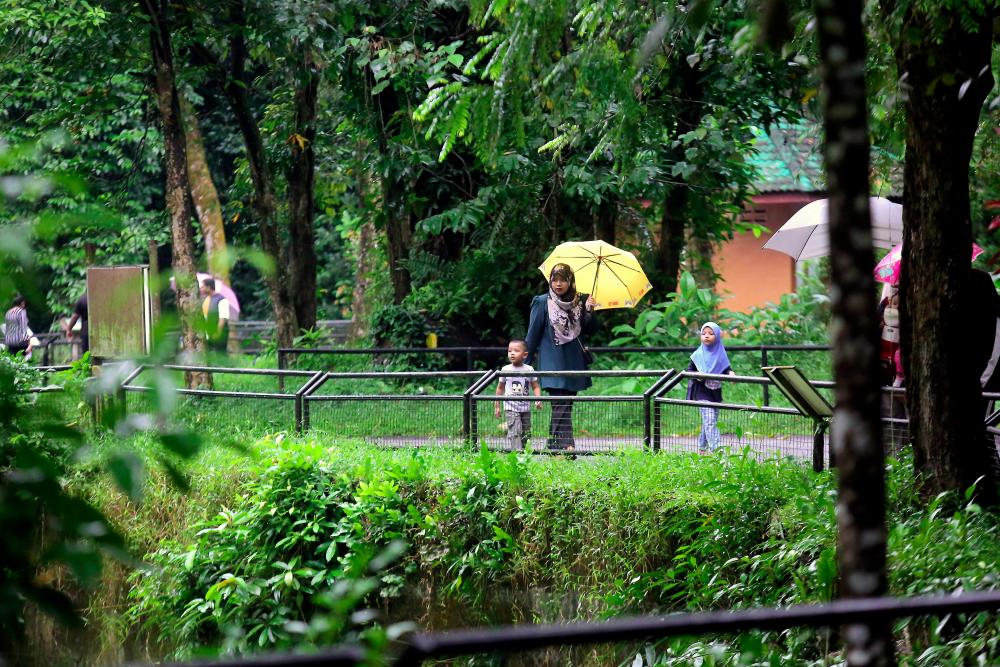 Domestic holiday still the preferred choice of local tourists