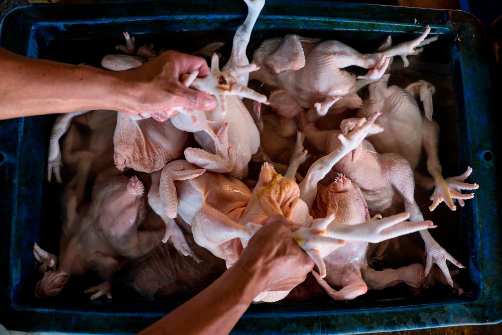 Don’t resort to panic buying, says Sarawak Minister