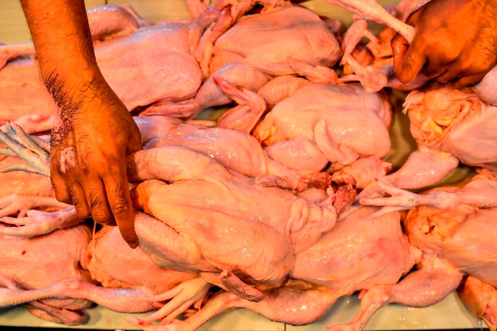 Dua lelaki ditahan tipu import eksport kaki ayam sejuk beku Dua lelaki ditahan tipu import eksport kaki ayam sejuk beku