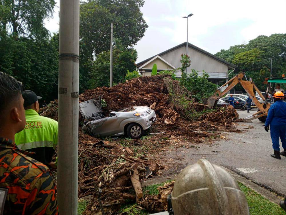 Dua lelaki maut dihempap pokok tumbang di Ampang Dua lelaki maut dihempap pokok tumbang di Ampang