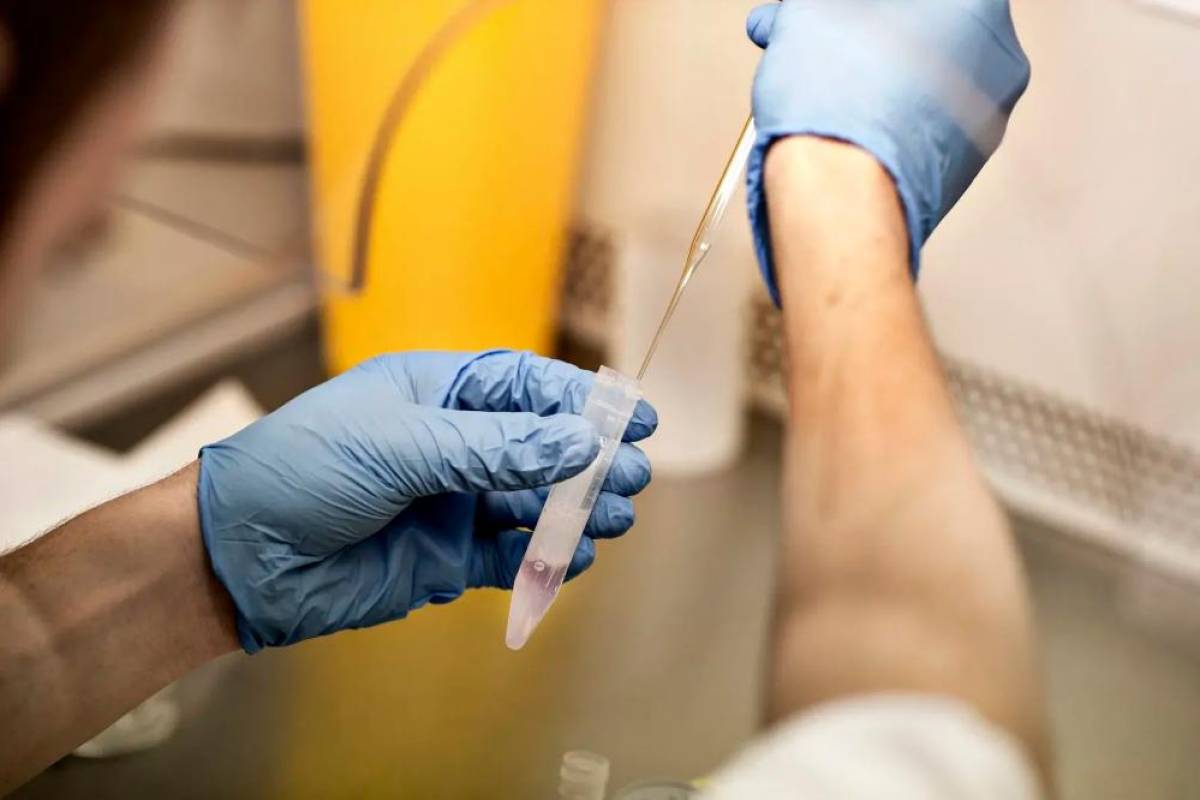 Dutch sperm ‘superdonor’ sues Netflix over ‘1,000 kids’ show Dutch sperm ‘superdonor’ sues Netflix over ‘1,000 kids’ show