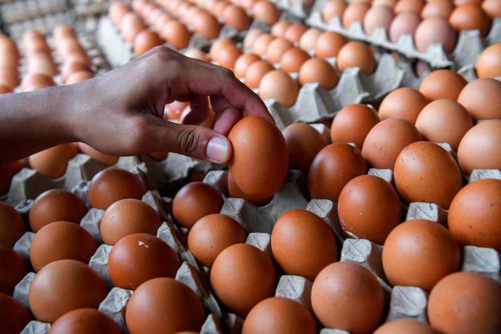 Egg importer sues Azmin Ali for defamation