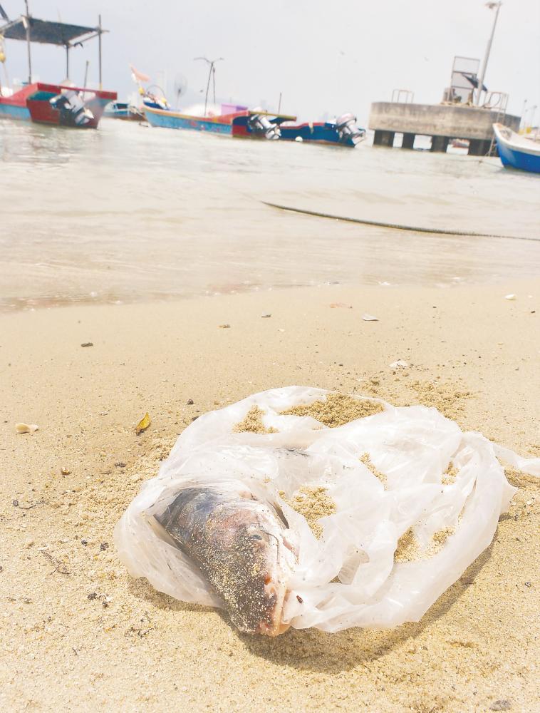 Eliminating microplastics threat in Malaysian waters Eliminating microplastics threat in Malaysian waters
