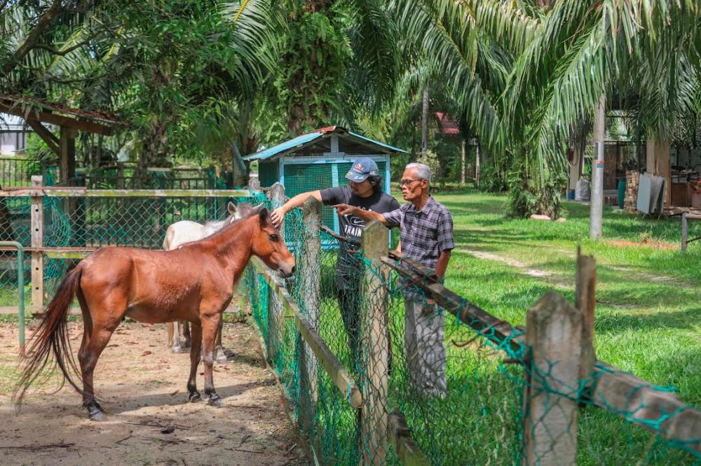 Embracing fulfilling retirement journey by prioritising well-being Embracing fulfilling retirement journey by prioritising well-being
