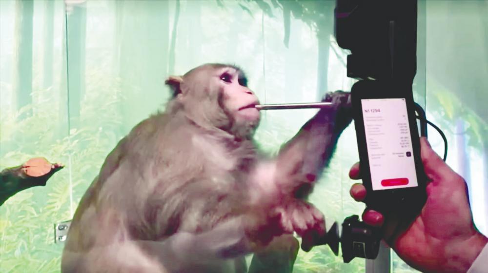 End practice of animal testing