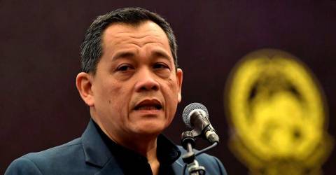 FAM to present Harimau Malaya organisation structure to PM - Hamidin FAM to present Harimau Malaya organisation structure to PM - Hamidin