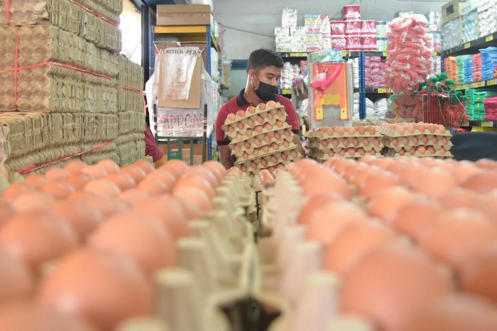 FAMA: Sufficient supply of eggs for Ramadan, Aidilfitri FAMA: Sufficient supply of eggs for Ramadan, Aidilfitri