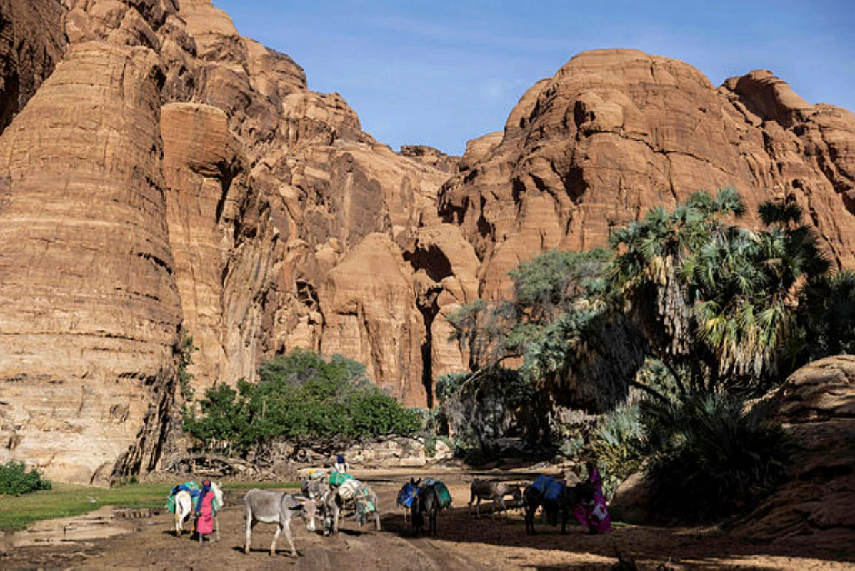 Missing French tourist in Chad found dead 'after a fall': minister
