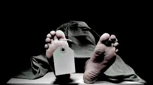 Factory worker found dead in pond while unclogging pipe in Penang