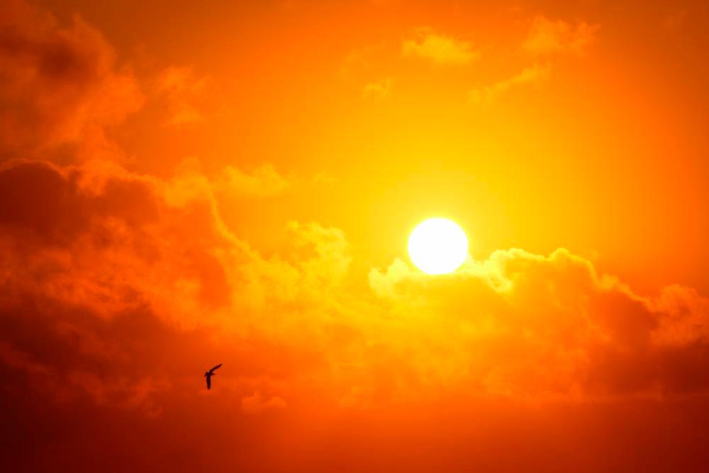 Families of heatstroke victims urge public to stop speculation