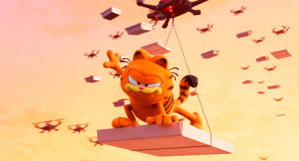 Feline adventure Feline adventure