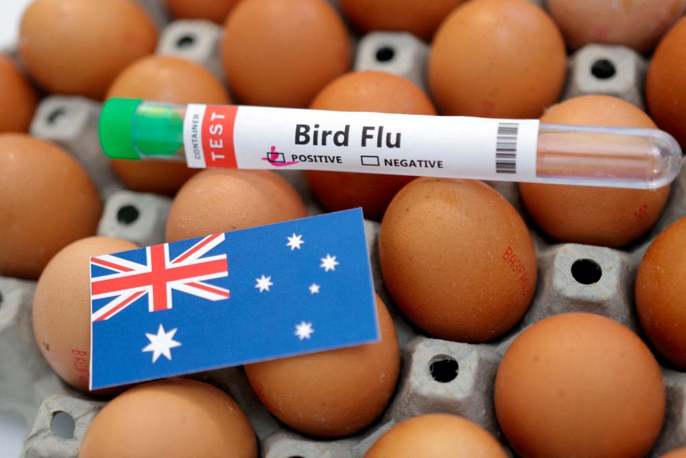 First human case of H5N2 bird flu died from multiple factors: WHO