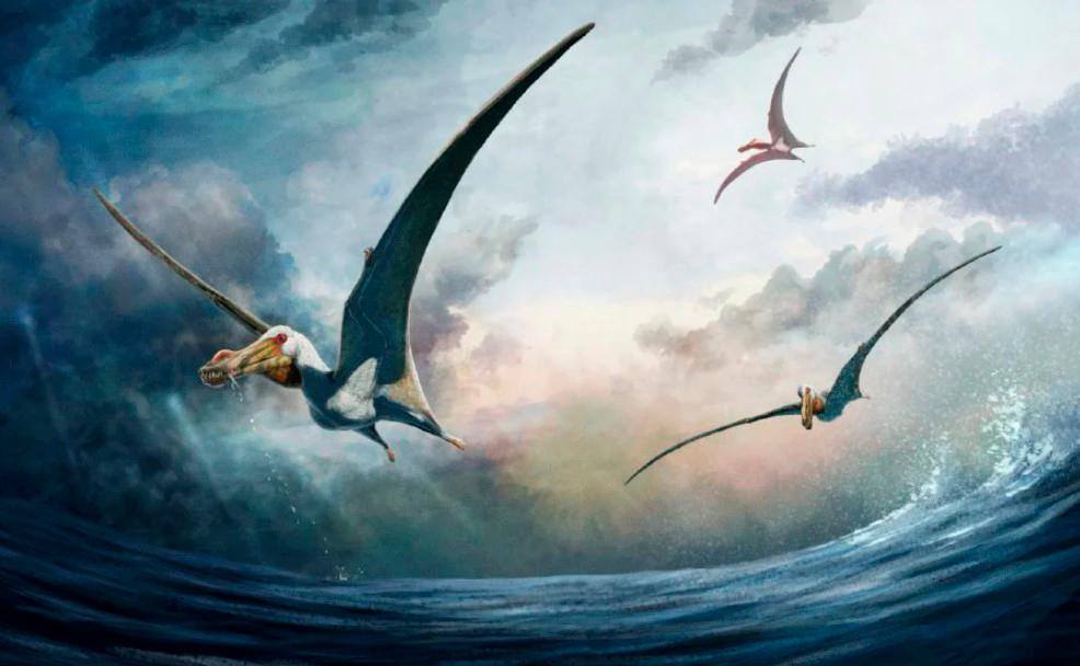 Fossils of ‘sea phantom’ flying reptile unearthed in Australia