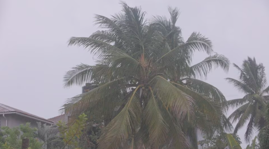 Freddy may break tropical cyclone record: UN