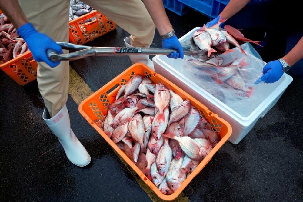 G-7 calls for removal of ban on Japanese fishery products G-7 calls for removal of ban on Japanese fishery products