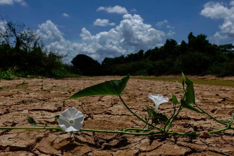 Hampir 20 peratus wilayah Indonesia mula alami musim kemarau - Agensi meteorologi