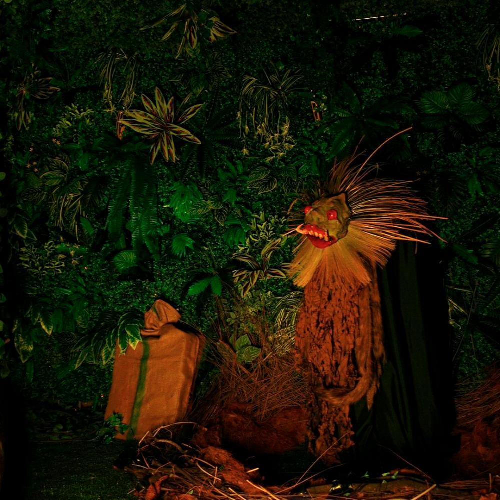Hauntu’s terrifying rimba Hauntu’s terrifying rimba