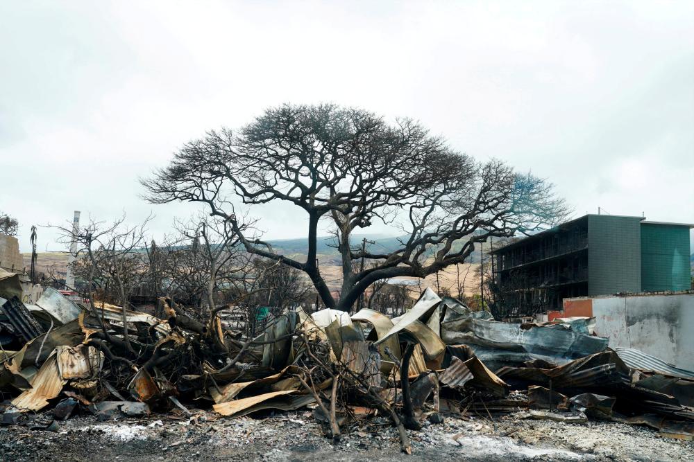 Hawaii revises down wildfire death toll Hawaii revises down wildfire death toll