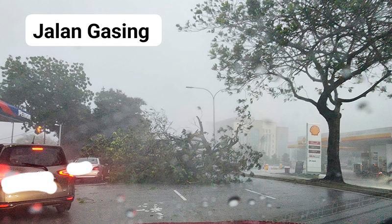 Heavy downfall leads to uprooted trees along parts of PJ, KL Heavy downfall leads to uprooted trees along parts of PJ, KL