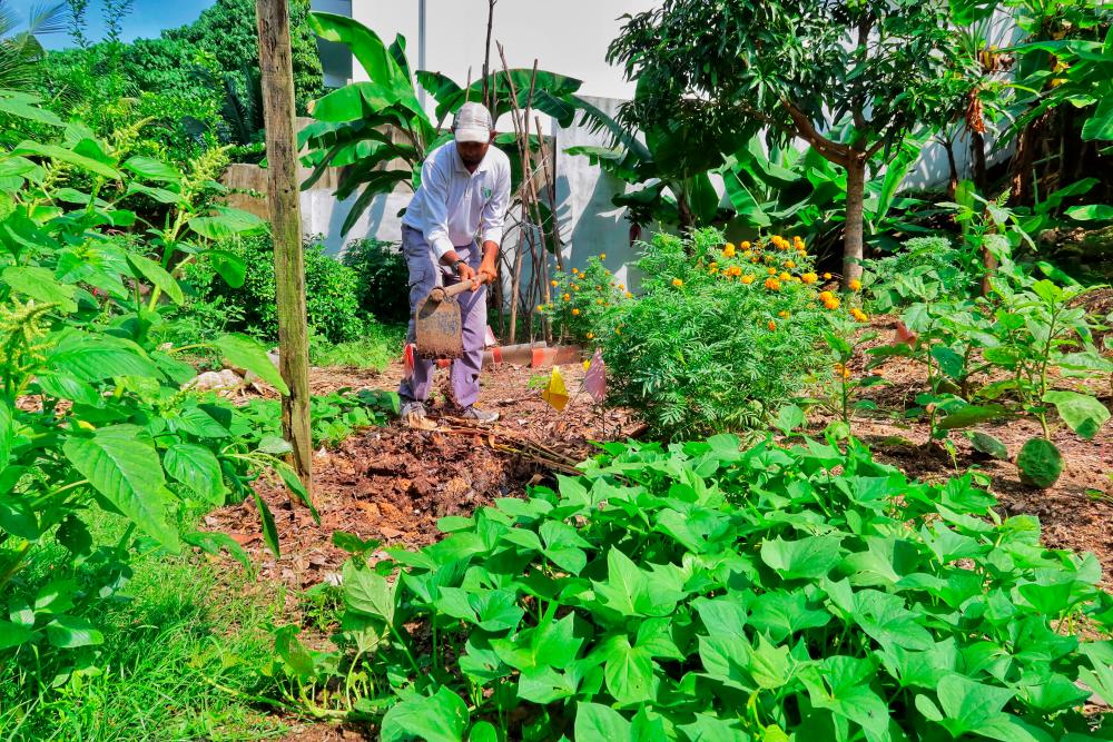 Hot weather : Nearly 3,000 farmers in Kelantan affected - Exco