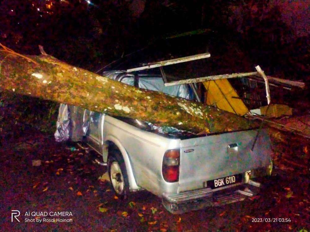 Houses, vehicles damaged by falling trees due to heavy rain, thunderstorms in S’gor