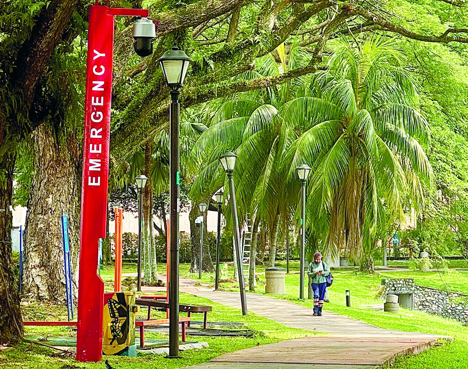 ‘Strategic approach needed for pocket parks proposal’