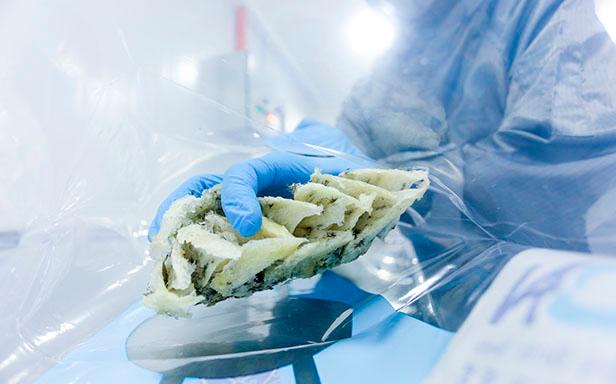 Impact of bird’s nest export halt to China not known yet: MYMBN Impact of bird’s nest export halt to China not known yet: MYMBN