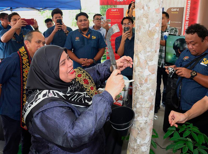 Increasing the level of IPG gives motivation to rubber smallholders - Rubiah Increasing the level of IPG gives motivation to rubber smallholders - Rubiah