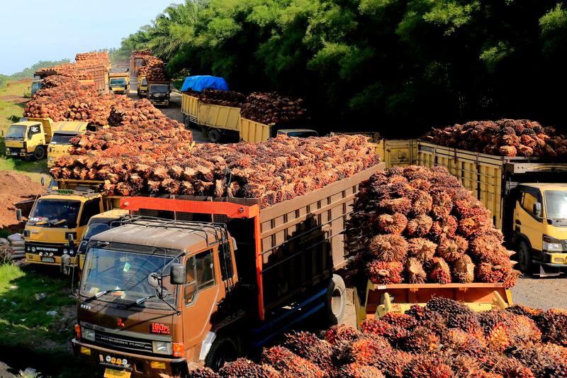 India imported 285,829 tonnes of palm oil from Malaysia in April India imported 285,829 tonnes of palm oil from Malaysia in April
